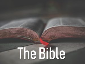 BIBLE